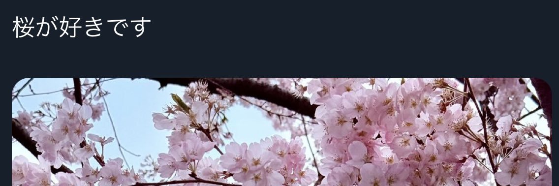 _s4kr's profile banner image