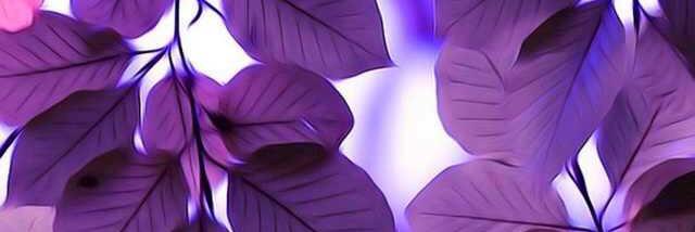 Crystalm4807's profile banner image