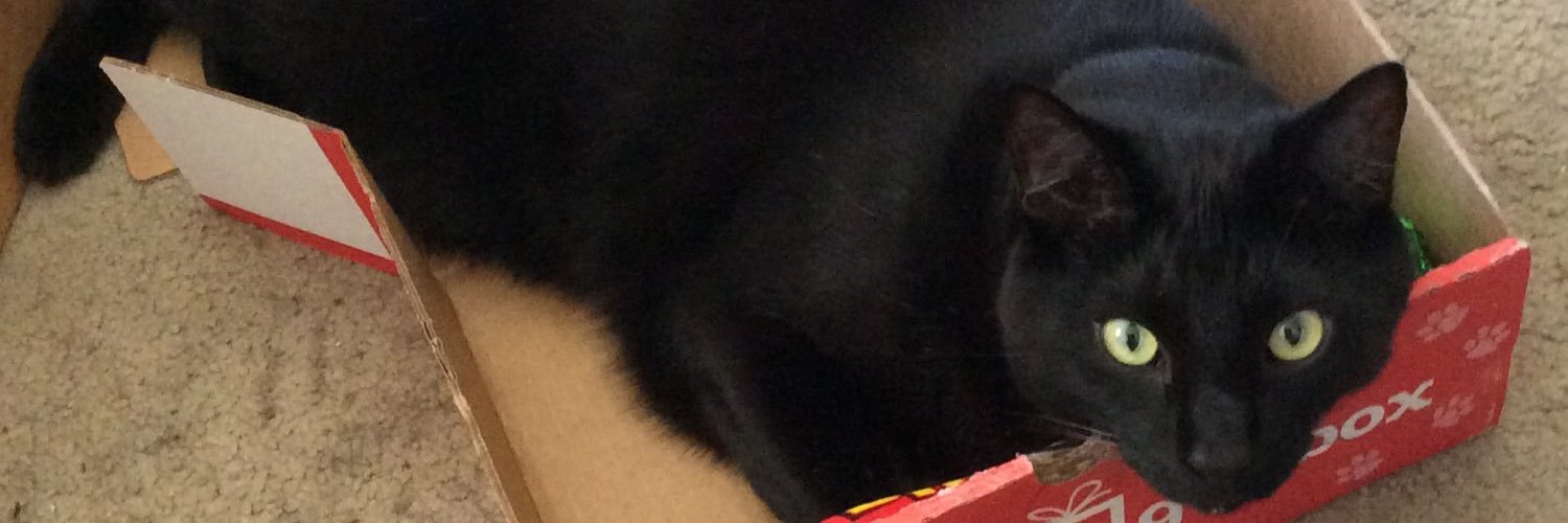ceramicat's profile banner image