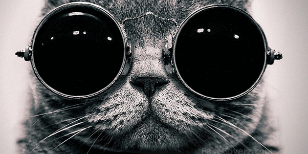Me. banner