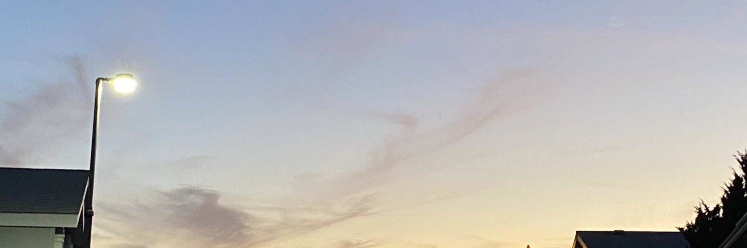 marissaaotero's profile banner image