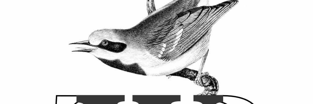 Warbler_Books's profile banner image