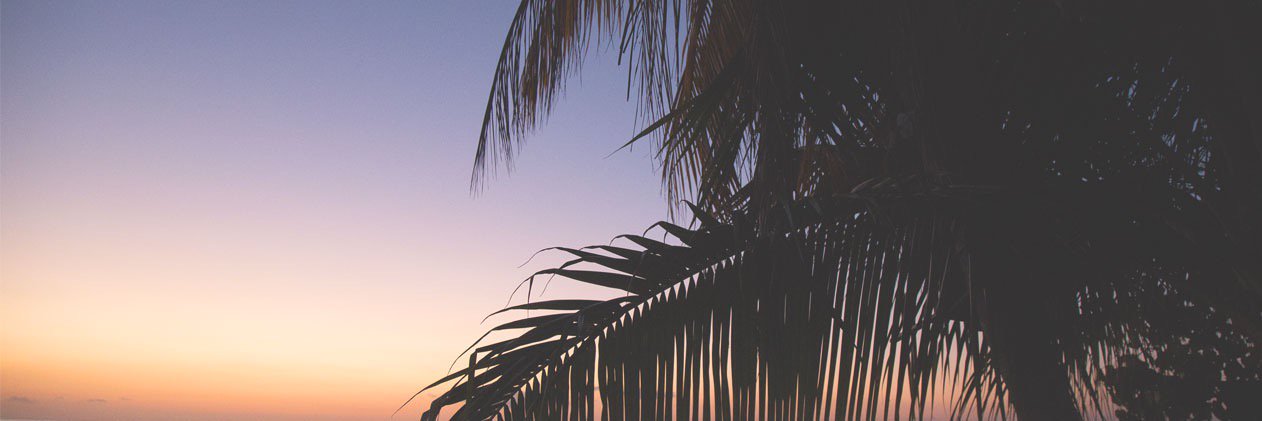 InterstellarRec's profile banner image