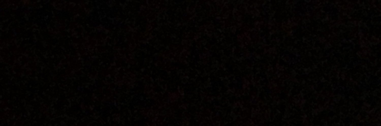 laurennbritto's profile banner image