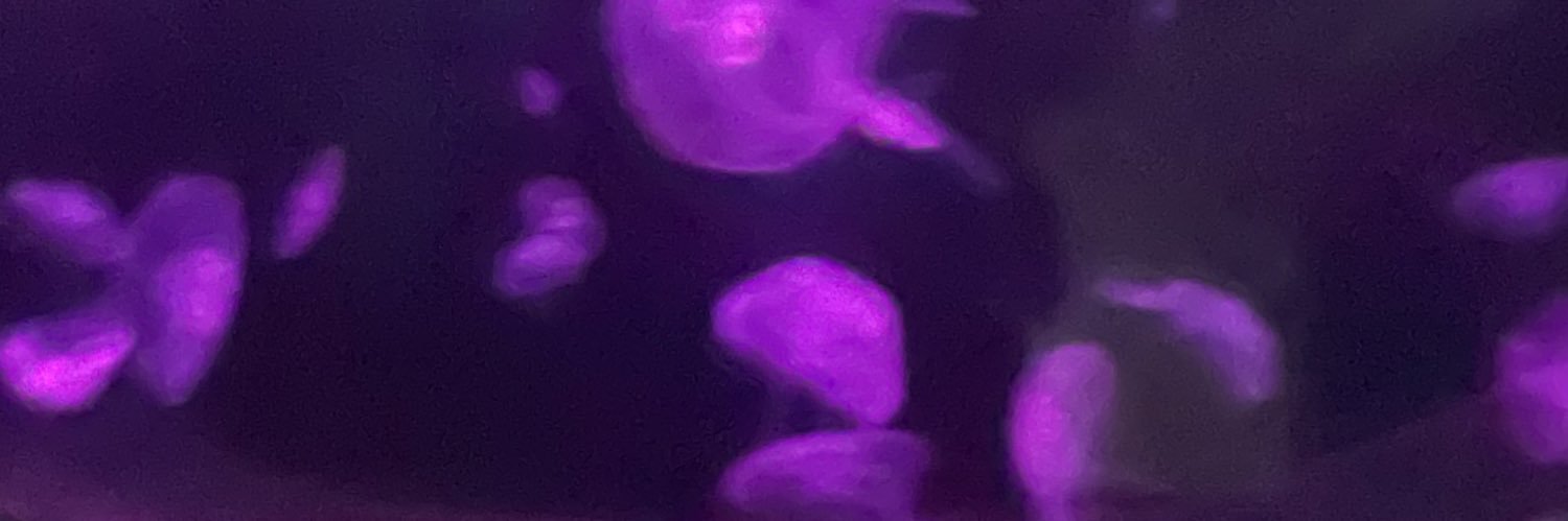 LakeFTW's profile banner image