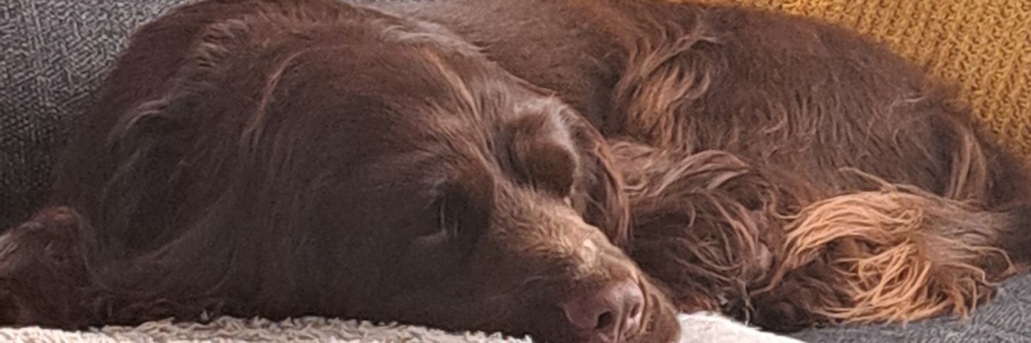 sues36's profile banner image