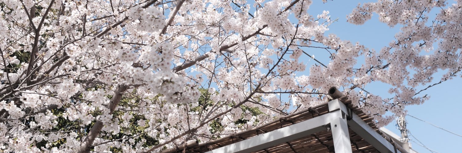 トム｜ファインディ banner