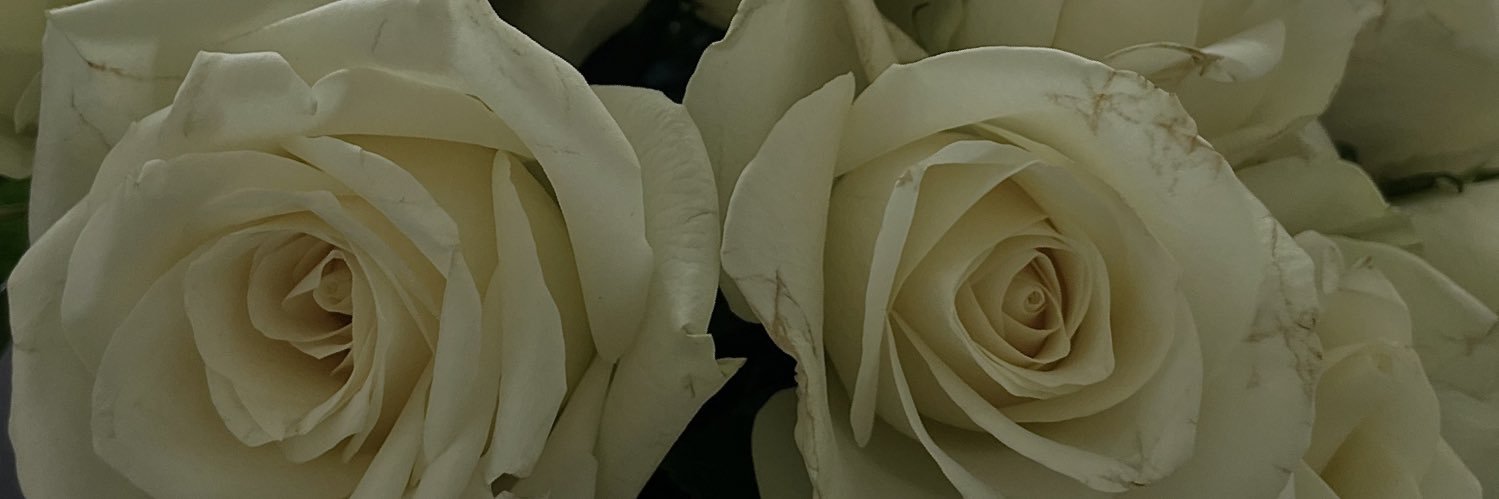 posepadequstion's profile banner image