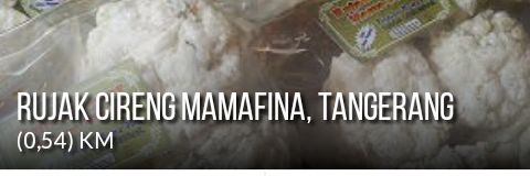 caipung1's profile banner image