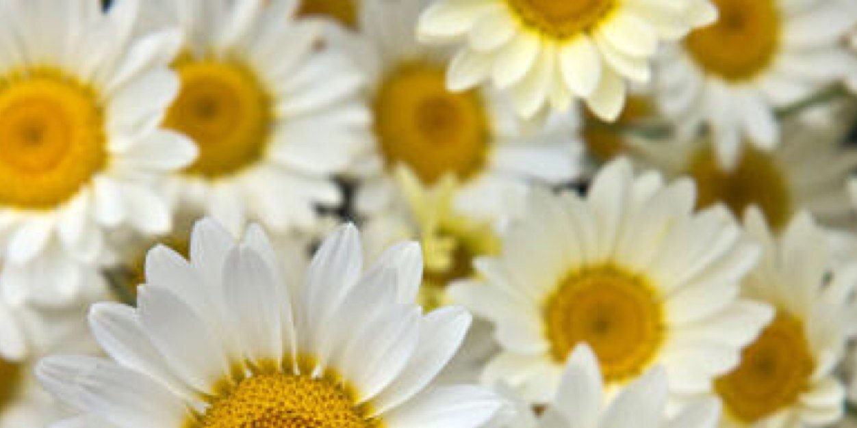 Gem_Suthers's profile banner image