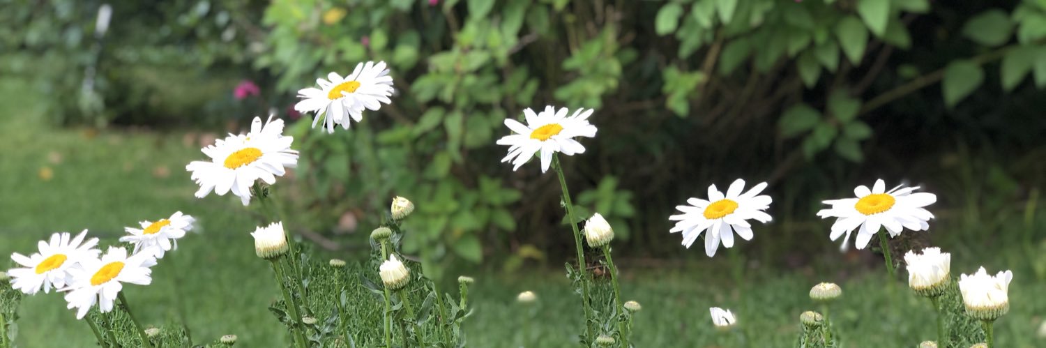 heyitsflorr's profile banner image