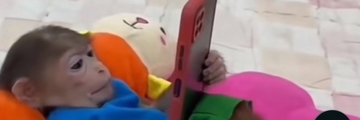 del mar🧜🏻‍♀️🌸 banner