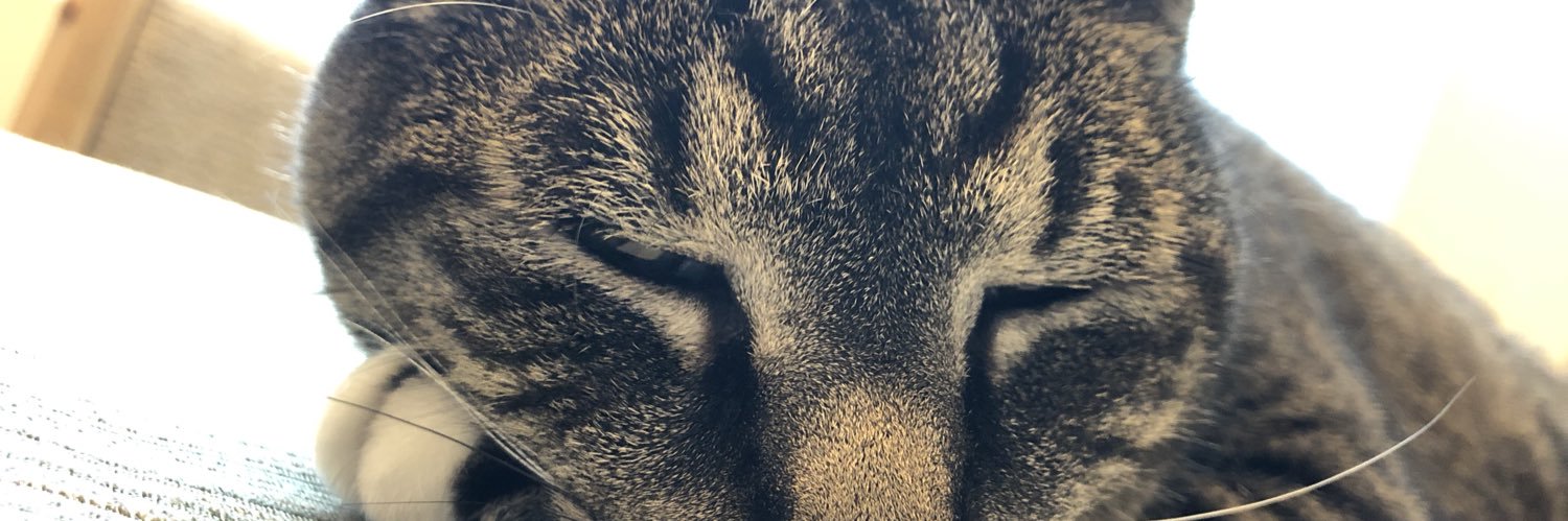 CraigHardt's profile banner image
