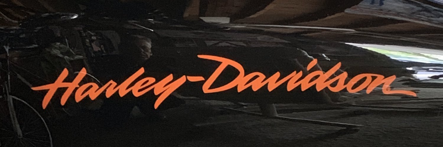 TwoGunsForHire's profile banner image