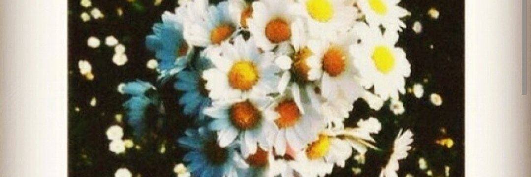 syildiz422's profile banner image