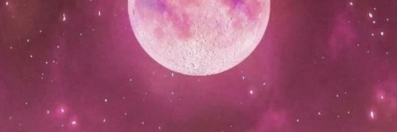 Mili_kuster's profile banner image
