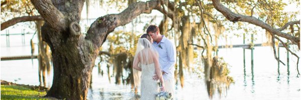 VerolaStudio Profile Banner