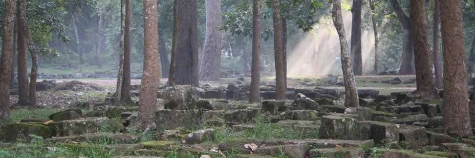 An_Barth's profile banner image
