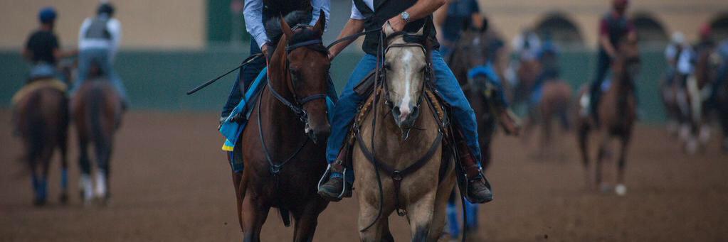 SmokeyThePony's profile banner image