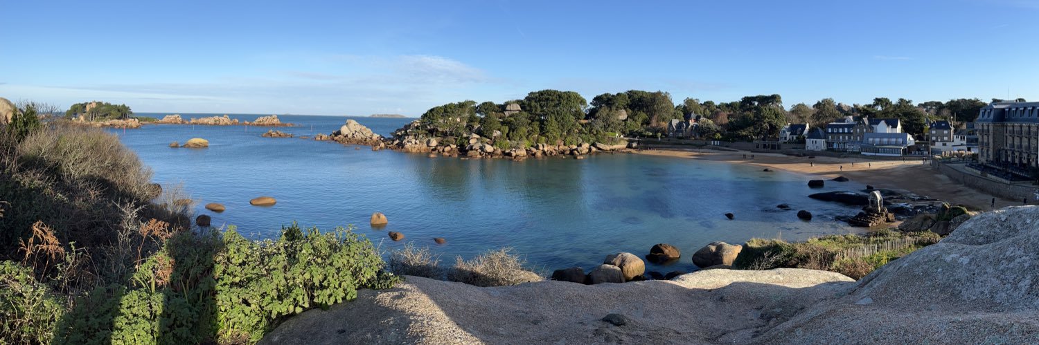 Fabienne Burtin banner