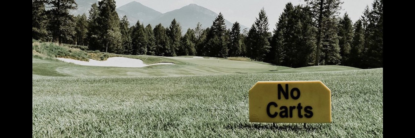 Colin Matheson banner