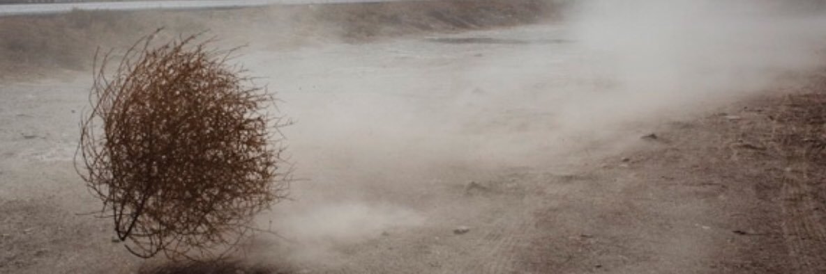 AlexCarratala's profile banner image