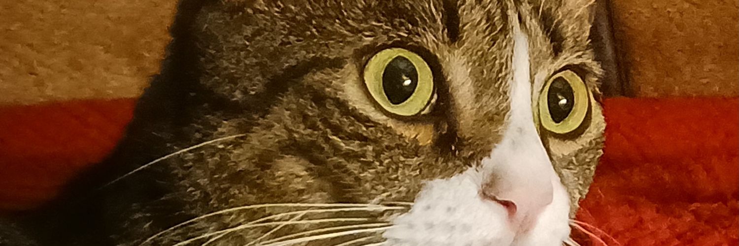 publickspace's profile banner image