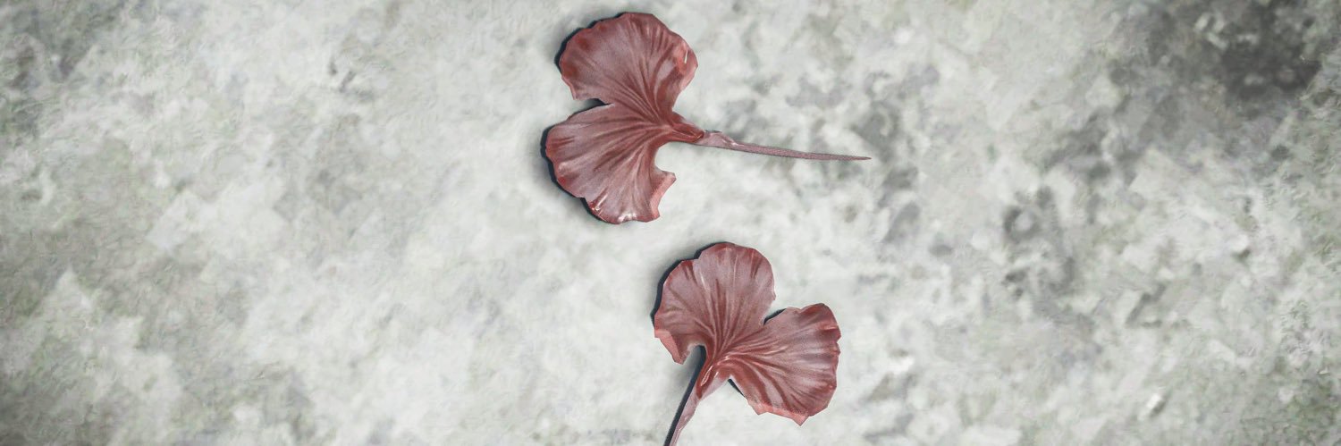 Janus Johnson banner