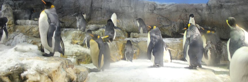 Christina Lohr banner