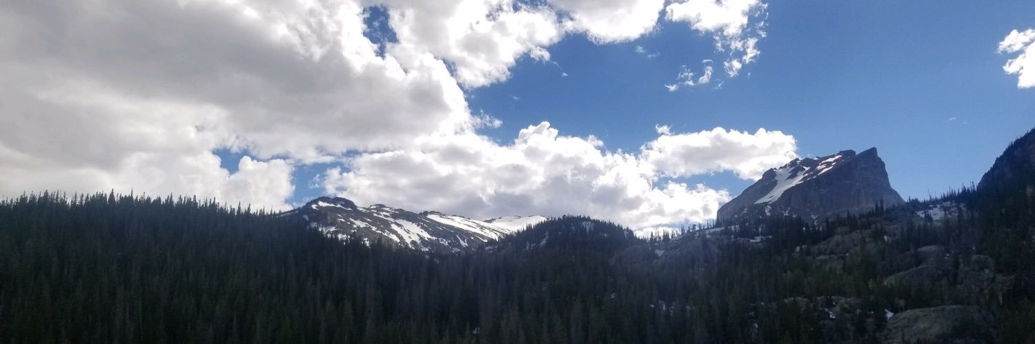 EricaLynn banner