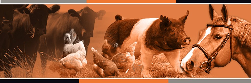 BioZyme Incorporated banner