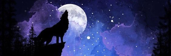 Wooyojun❃🐈‍⬛🦖 banner