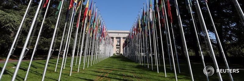 Stephanie Nebehay banner