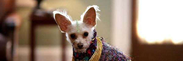 gherbert Profile Banner