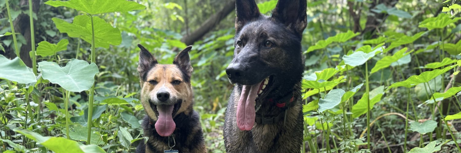 Gerald Herbert banner