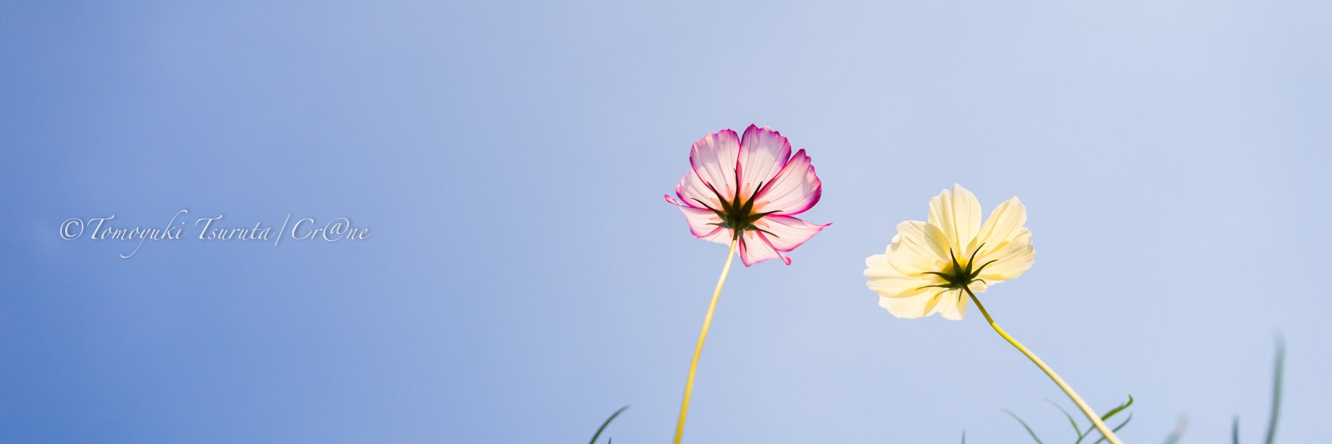 PHOTOcrane1210's profile banner image