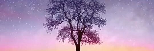 AyeJalil1's profile banner image