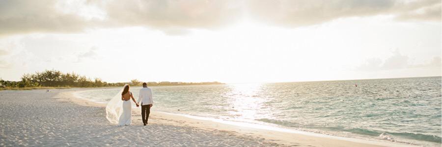 Tess Rary Boykin banner
