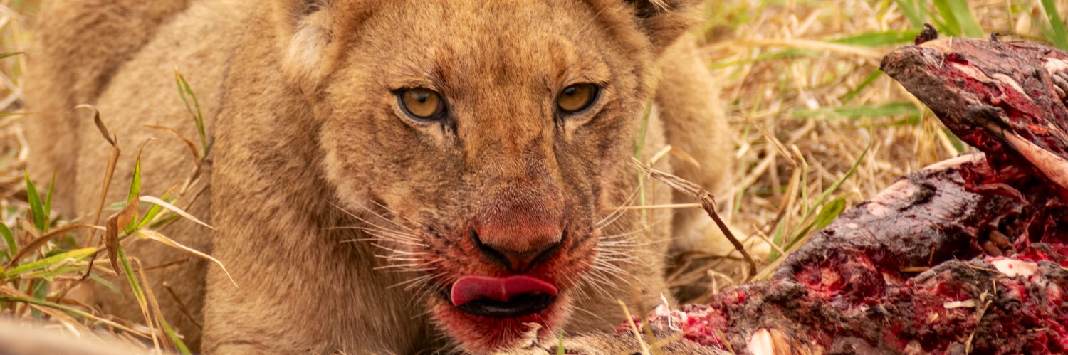 Kyle Marshall banner