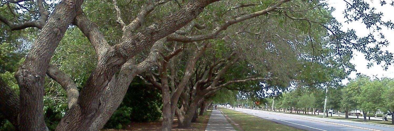 amandamrwaters's profile banner image