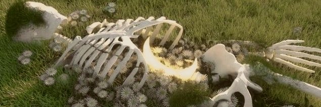 имя может быть пустым.💫 banner