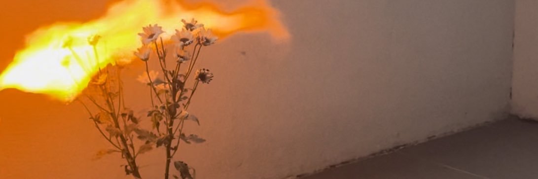 hayydenday's profile banner image