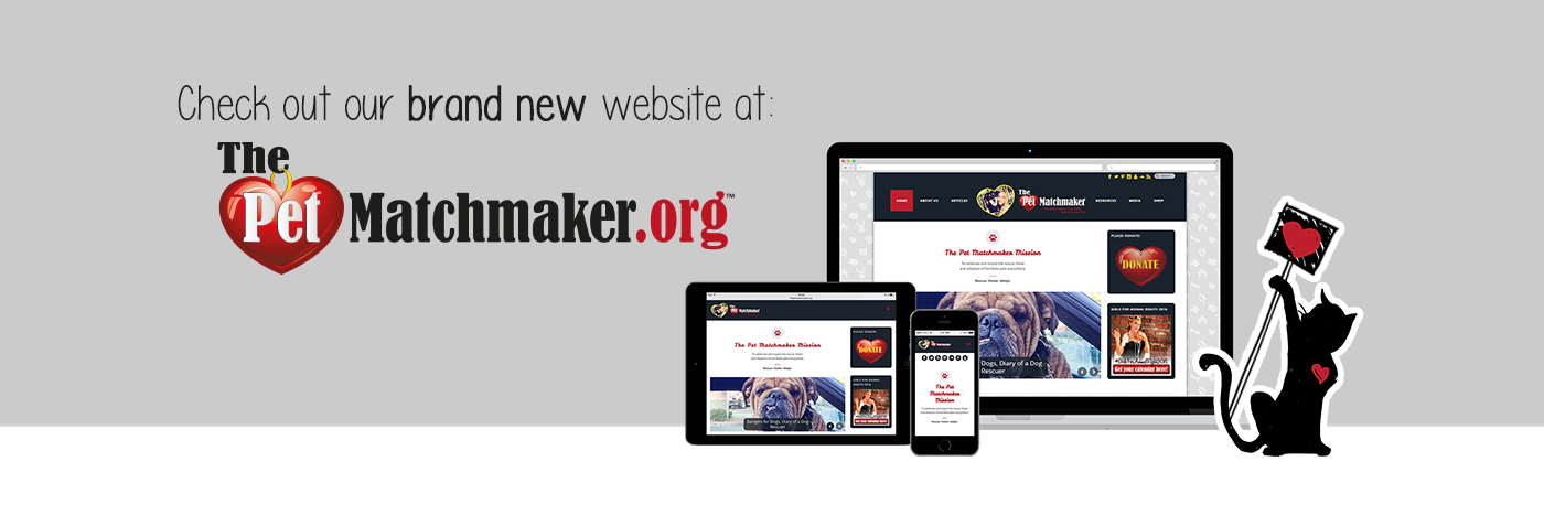 PetMatchmaker's profile banner image