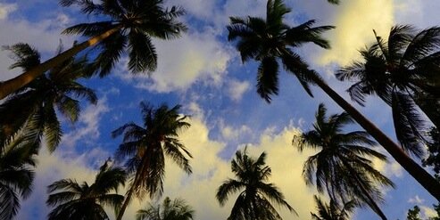 Kuilita's profile banner image