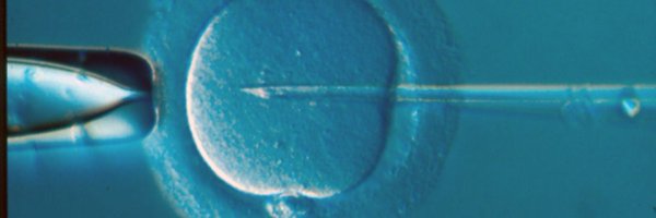 DraperStacey Profile Banner