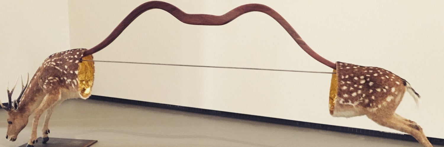 MEIHASHIMOTO94's profile banner image
