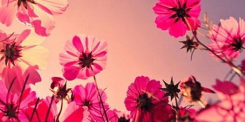 jantinevanelzel's profile banner image