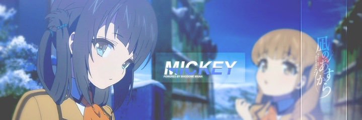 Mickeydesu0's profile banner image