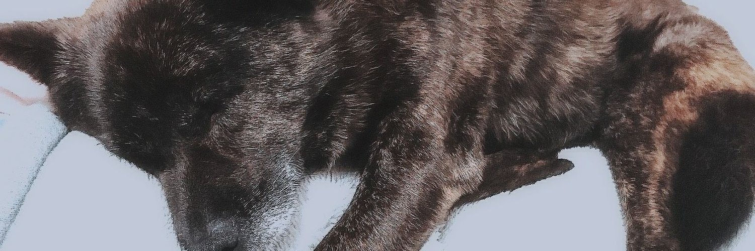 ruka_724914's profile banner image