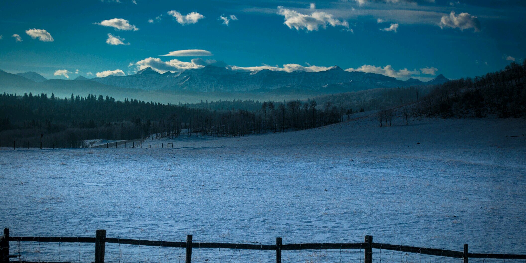 marissablott's profile banner image